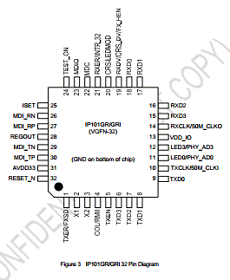 IP101GR datasheet IP101GR datasheet