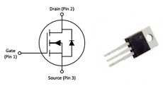 CSD19506 datasheet